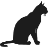 Silhouette élégante d’un chat