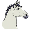 Weisses Pferd