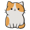 cute cat, pet