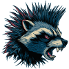 Angry Raccoon Punk