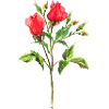 Blumen
