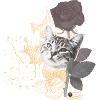 Satoshi cat