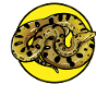Anacondas Anaconda