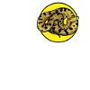 Anacondas Anaconda
