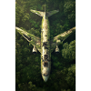 Abandoned Jungle Airplane Wreck