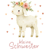 kleine Schwester Laemmchen