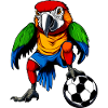 Footballer Parrot