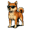 Shiba with cool sunglasses