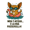 Chihuahua Float Patrol