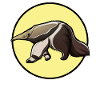 anteaters anteater