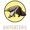 anteaters anteater