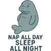 Manatee - Nap all day
