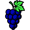 Grapes Grapes Fruit