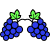 Grapes Grapevine Icon