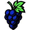 Grapes Symbol Grapes