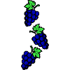 Grapes Symbol Grapes