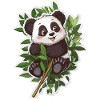Ours panda mignon