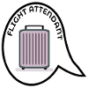 VALISE D’HÔTESSE DE L’AIR