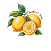 Sunshine & Citrus Lemon Summer Holiday