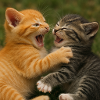 Wild cat cousins in battle
