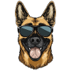Malinois Belgian Shepherd with Sunglasses