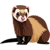 Beautiful Ferret for Animal Lovers