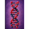 Berry DNA Twist