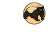 Honey Badger Honigsdachs