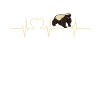 Honey Badger Honigsdachs