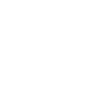 Car Car Icon