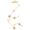 Aquarius Zodiac Sign Star Constellation Golden