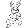 Cartoon Bunny