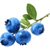 Blueberries