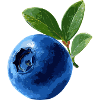 Blaubeere