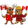 Canadian Beaver And Moose