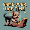 Dog and Console: Virtual Gameplay