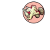 Frogfish Anglerfisch