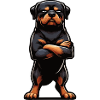 Rottweiler Rottweiler Owner Rottweiler Lovers