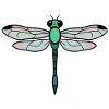 Libellule