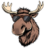 Elk