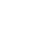 Gustavus Adolphus