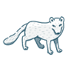 Arctic fox standing