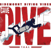 Diving Cave Diver Graphic