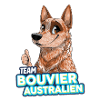 TEAM Australian Cattle Dog - Red