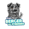 TEAM Pyrenäen-Schäferhund - Harlekin