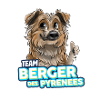 TEAM Pyrenean Shepherd Dog - Fawn