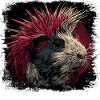 Cochon d’Inde Punk