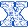 Lettre x chinoiserie bleu