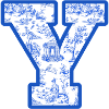 Letter y blue chinoiserie