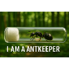 I am a Antkeeper